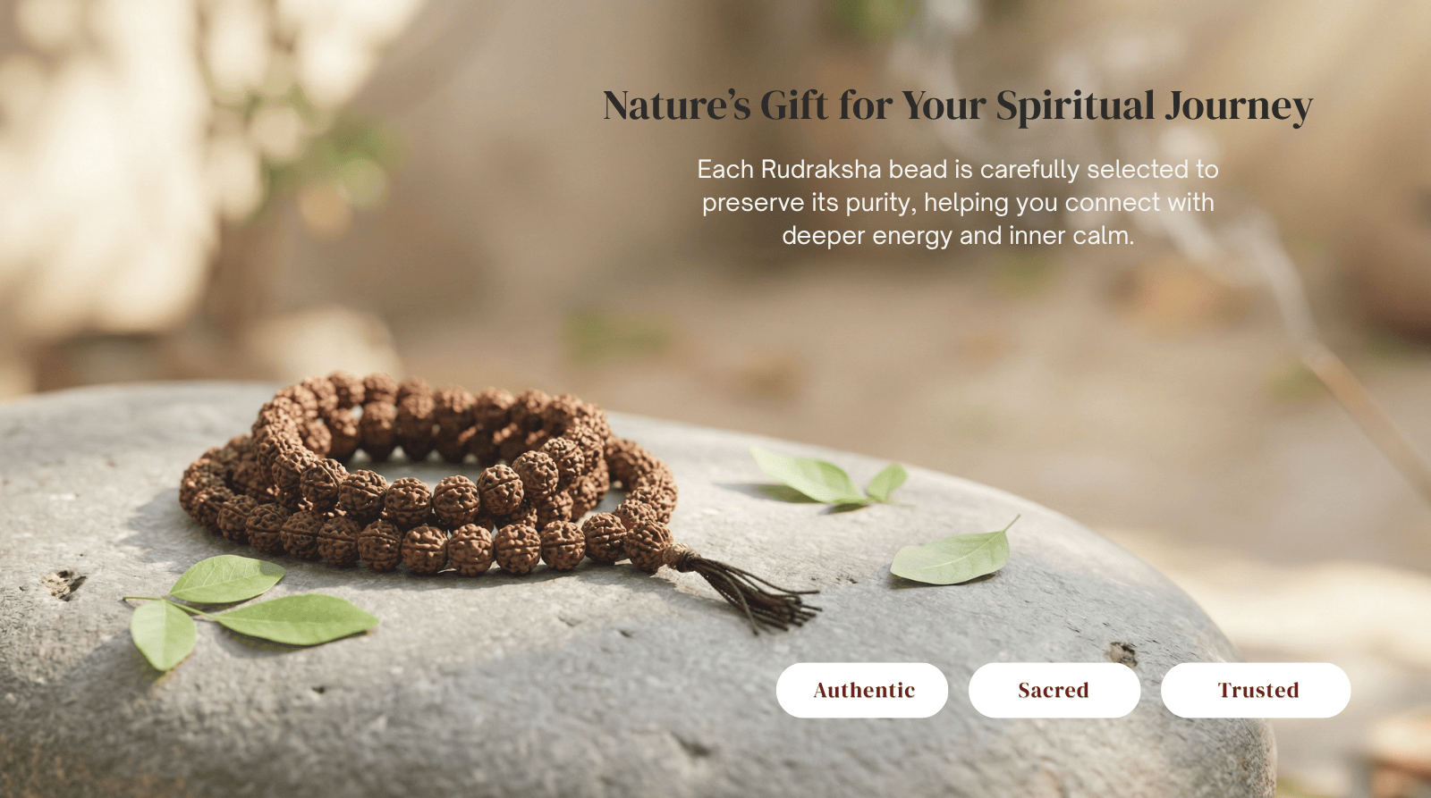Shiv Rudraksha Sacred Collection